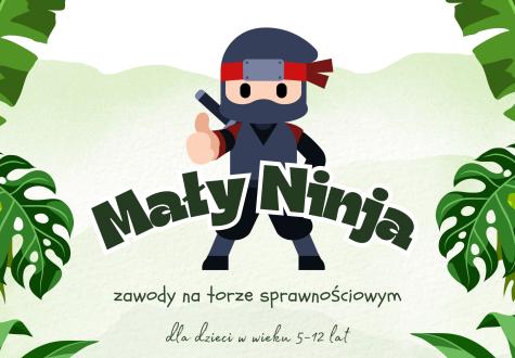 ninja