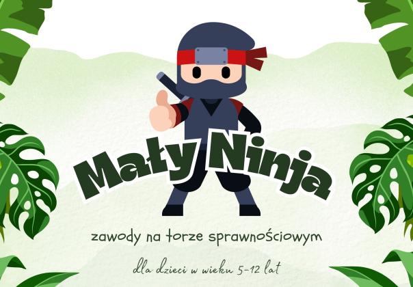 ninja