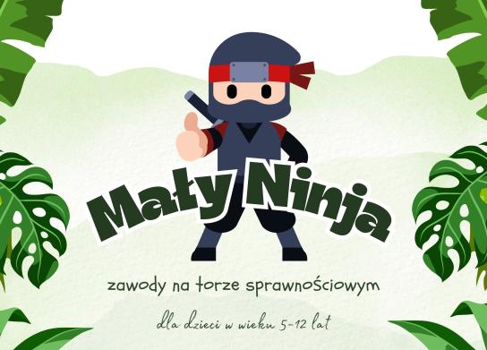 Mały ninja