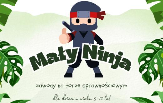 ninja