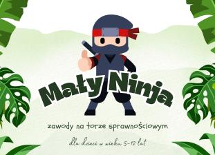 ninja